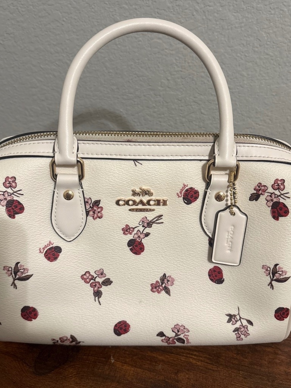 Coach lady bug bag